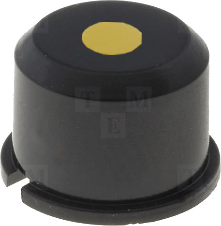 Bt Pt Rect Leg  1 (155Xx)