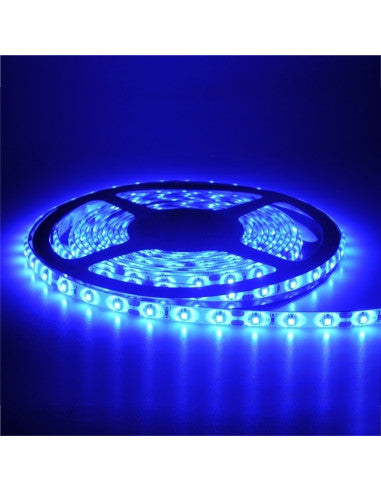 Tira Flxv 30 Led Az 0,40Cd 120º 12V